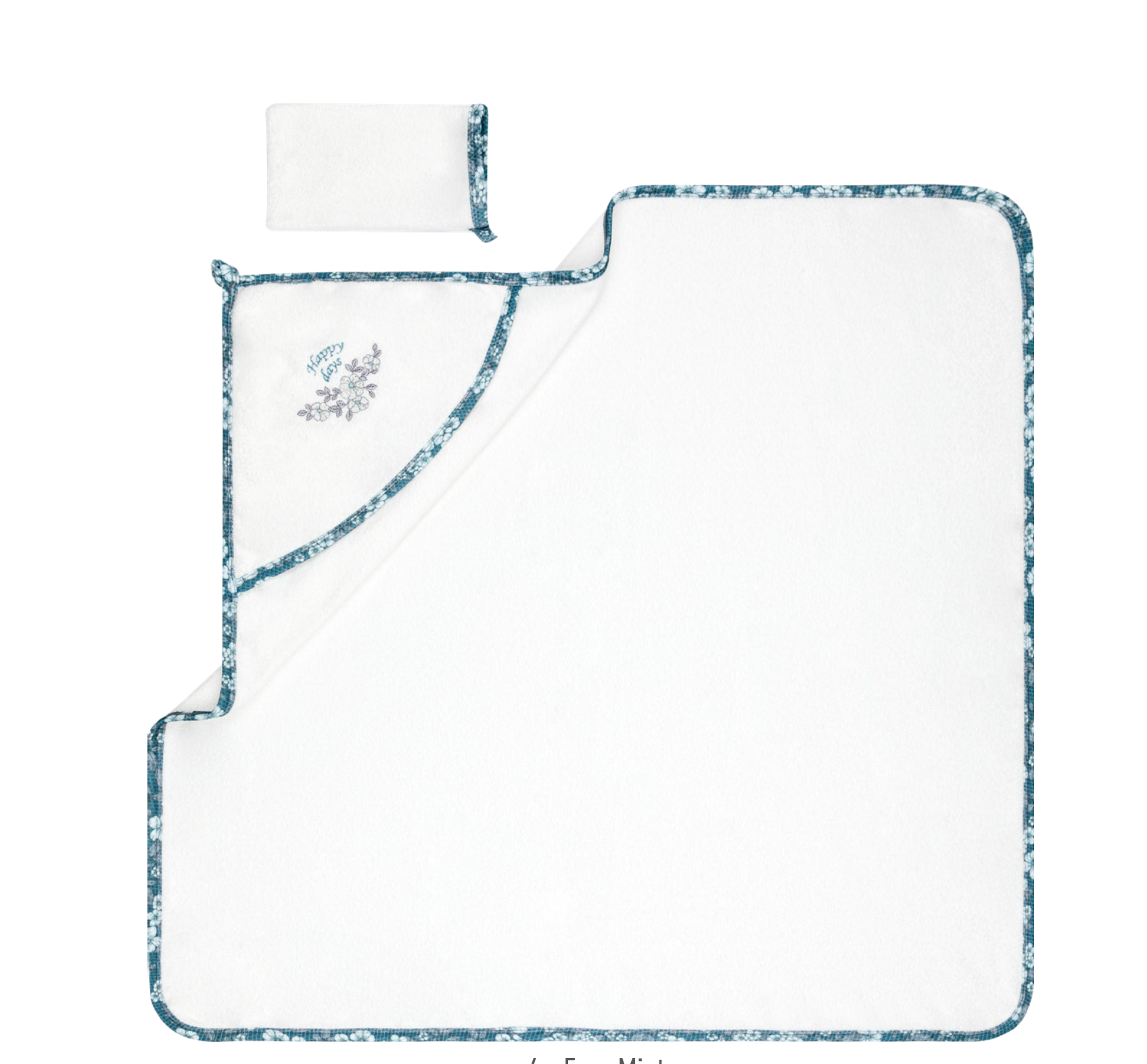 Screen Shot 2024-01-13 at 10.55.15